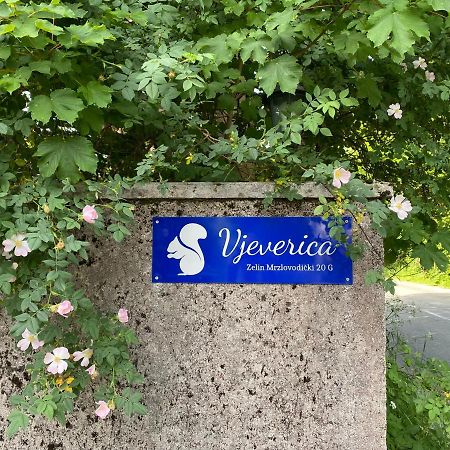Apartments Vjeverica Zelin Mrzlovodicki Luaran gambar