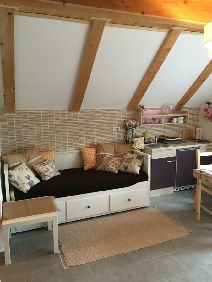 Apartments Vjeverica Zelin Mrzlovodicki Luaran gambar
